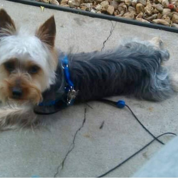 Meet your Posher, Denise - Picture 2 of 3